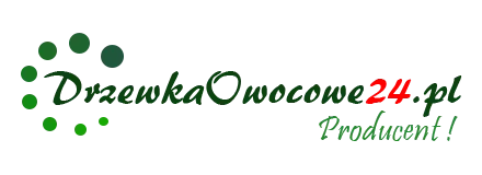 Drzewkaowocowe24 - Саженцы плодовых деревьев